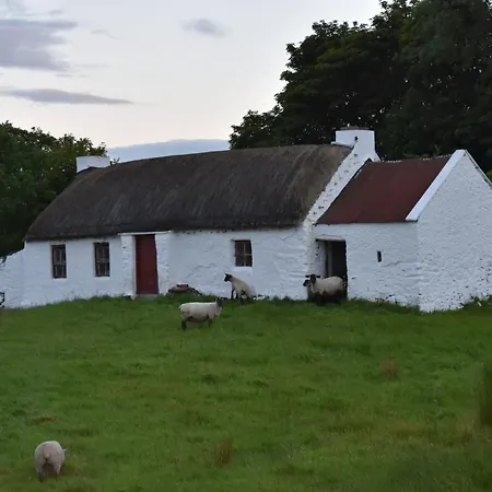 Ocean Bay Tatil Evi *