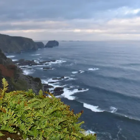 Ocean Bay * Malin