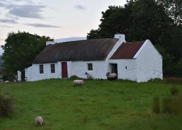 Ocean Bay Semesterbostad *